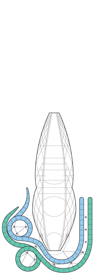 Deck 20